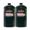 Worthington Cylinders Grilling Fuels 2-Pack Steel Propane Tank
