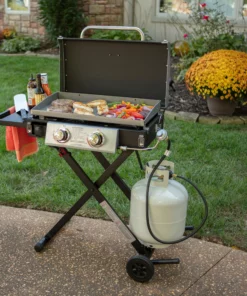 Blue Rhino Grills Razor Griddle Black and Silver/Powder Coated 2-Burner Liquid Propane Gas Grill -Mmaster Outlet Shop 11908466 scaled