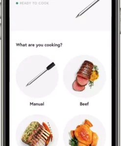 Yummly Grilling Tools & Accessories Digital Probe Bluetooth Compatibility Meat Thermometer -Mmaster Outlet Shop 16723605