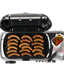 Weber Grills Traveler Portable Gas Grill -Mmaster Outlet Shop 40459935