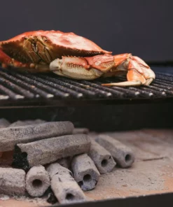 Prime 6 Grilling Fuels Premium sustainable reusable charcoal 9-lb Charcoal Briquettes -Mmaster Outlet Shop 40791405 scaled