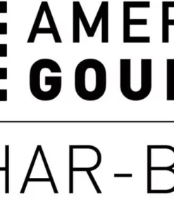 American Gourmet Grills Black 2-Burner Liquid Propane Gas Grill -Mmaster Outlet Shop 42462845