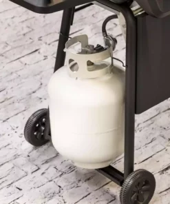 American Gourmet Grills Black 2-Burner Liquid Propane Gas Grill -Mmaster Outlet Shop 42619324