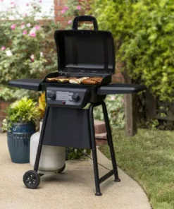 American Gourmet Grills Black 2-Burner Liquid Propane Gas Grill -Mmaster Outlet Shop 42619328