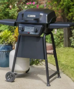 American Gourmet Grills Black 2-Burner Liquid Propane Gas Grill -Mmaster Outlet Shop 42619329