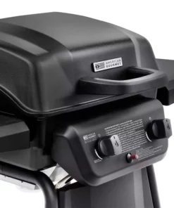American Gourmet Grills Black 2-Burner Liquid Propane Gas Grill -Mmaster Outlet Shop 42619332