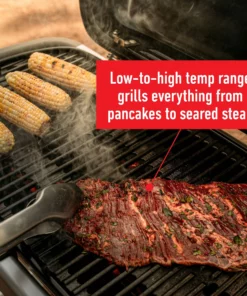 Weber Grills Traveler Portable Gas Grill -Mmaster Outlet Shop 42720721