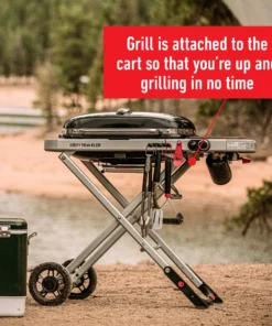 Weber Grills Traveler Portable Gas Grill -Mmaster Outlet Shop 42720725